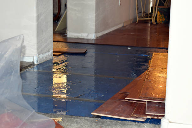 Professional Water Damage technician working in Moore, TX